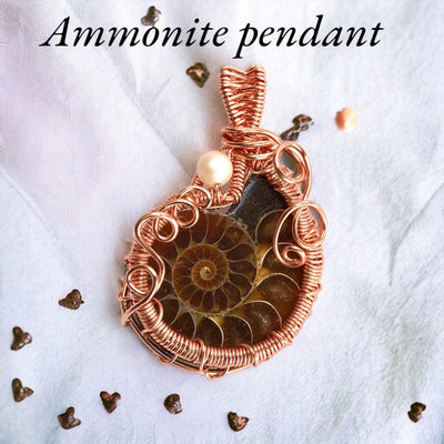 Fayes jewelry designs Pendant Ammonite fossil copper necklace pendant